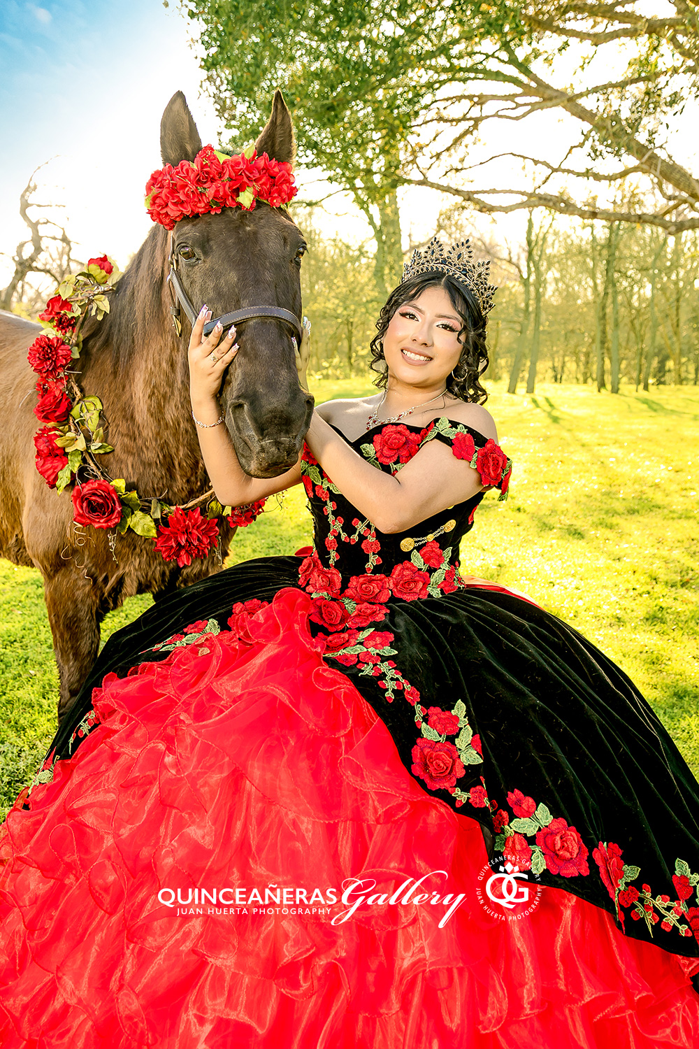 houston-texas-fotografia-video-quinceaneras-gallery-caballos-juan ...